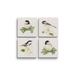 Curata Peaceful Christmas Set of Four Assorted Designs Tumbled Tile Absorbent Stone Coasters