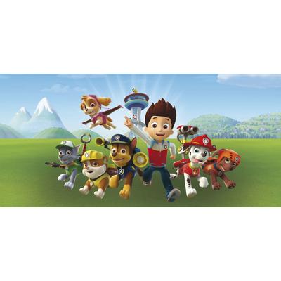 Leinwandbild BÖNNINGHOFF "Paw Patrol", bunt (farbe bild(er): grün, blau, rot, gelb, orange, rosa), B:70cm H:33cm, MDF, Papier, Bilder Image