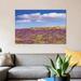 East Urban Home 'Sand Verbena Carpeting The Ground, Imperial Sand Dunes, California' by Tim Fitzharris Print on Canvas Canvas, | Wayfair