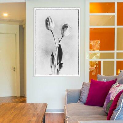 East Urban Home Soft Tulips IV Photographic Print on Wrapped Canvas in Black/Blue/Gray | 18 H x 12 W in | Wayfair ESHM6914 34324794