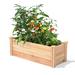 Arlmont & Co. Kemaree Cedar Raised Garden Bed Wood in Brown | 16.5 H x 48 W x 16 D in | Wayfair 7F0F7EA483CC487BAAD2F834A2749C19