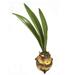 Primrue 3 Leaves Amaryllis Bulb Stem Polysilk in Green | 15 H x 4 W x 1 D in | Wayfair D993B260CD52412D885E97598488C7CF