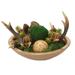 Primrue 16" Preserved Succulent in Planter Porcelain | 16 H x 22 W x 22 D in | Wayfair 5EBFCA70B11C405DA0AF9CBFAA71812F