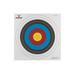 30-06 Outdoors Paper Archery Target 10-ring 17x17in 100ct TAR10-100