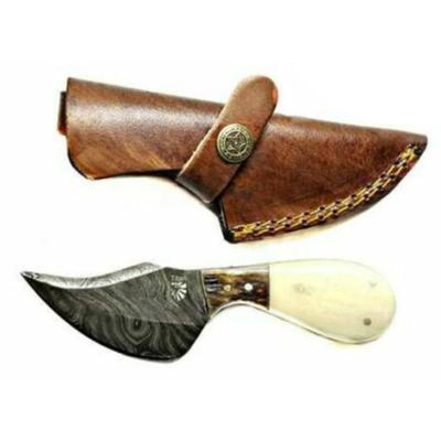 Titan Damascus Skinning knife Camel Bone Stag Handle 6in TD-043 TDK-43