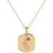 Aquarius Water-bearer Amethyst & Diamond Constellation Tag Pendant Necklace In 14k Yellow Gold Vermeil On Sterling Silver