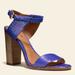 Coach Shoes | Gu Coach “Lacey Solid Snake” Block Heels | Color: Blue | Size: 7