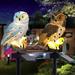 Arlmont & Co. Kashina Solar Powered Owl Integrated LED Pathway Light Garden Stake for Christmas Decorations Resin/ | Wayfair