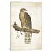 East Urban Home The Lookout I by Wild Apple Portfolio - Graphic Art Print on Canvas Canvas/Metal in Brown/Green/White | Wayfair ESUR1114 37293337