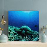 Bayou Breeze Black & White Sea Turtle Under Water 1 - 1 Piece Square Graphic Art Print On Wrapped Canvas in Blue | 12 H x 12 W x 2 D in | Wayfair