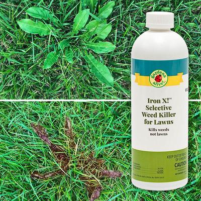 Iron X! Selective Weed Killer For Lawns 16oz