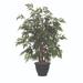 Vickerman 687499 - 4' Ming Aralia Bush in Brown Plastic Pot (TBU0640-RB) Home Office Bushes