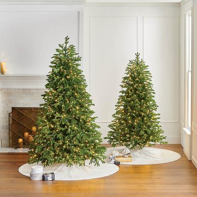 Rocky Mountain Noble Pine Full Profile Tree - 6.5ft - Frontgate - Christmas Tree