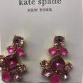 Kate Spade Jewelry | Kate Spade New Hot Pink Statement Earrings | Color: Pink | Size: 3/4" X 1-1/4"