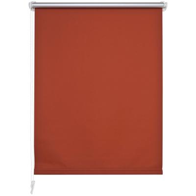 Seitenzugrollo LIEDECO Gr. 1, orange (terra), B:60cm H:150cm, Polyester, Rollos Image