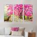 Winston Porter Cherrry Blossom Lane - 3 Piece Floater Frame Print Set on Canvas Canvas, Wood in White | 20 H x 36 W x 1 D in | Wayfair