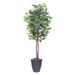 Vickerman 701744 - 6' Ficus tree Round Gray Container (TEC0160-RG) Ficus Home Office Tree