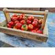 Medium Harvest Basket/ Seed Savers Basket