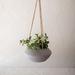 Foreside Home & Garden Wide Textured Metal Hanging Planter Metal | 5 H x 11.25 W x 11.25 D in | Wayfair FDDD10818