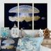 Rosecliff Heights White-Spotted Jellyfish On Black - Nautical & Coastal Framed Canvas Wall Art Set Of 3 Metal in Blue | 32 H x 48 W x 1 D in | Wayfair