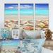 Rosecliff Heights Caribbean Sea Starfish - 3 Piece Floater Frame Photograph on Canvas Canvas, Wood in White | 28 H x 36 W x 1 D in | Wayfair