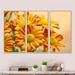 August Grove® Yellow Flowers In The Garden - Floral Framed Canvas Wall Art Set Of 3 Canvas, Wood in White | 28 H x 36 W x 1 D in | Wayfair