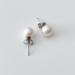 J. Crew Jewelry | J. Crew Pearl Stud Earrings | Color: Silver/White | Size: Os