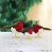 The Holiday Aisle® Round Robins Wool Felt Holiday Decor Set Of 3 Glass/Mercury Glass | 5 H x 7.75 W x 4.1 D in | Wayfair