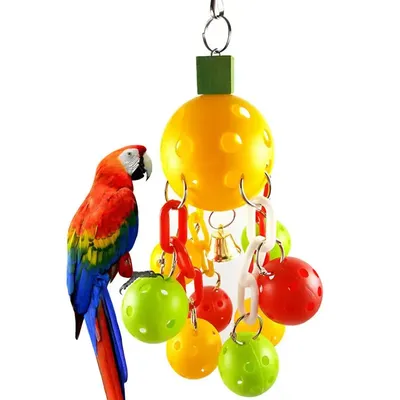 Dorakitten-Boule de morsure en plastique pour perroquet jouet de combat pour oiseau creux