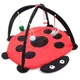 Tente Portable pour Chat Jouets Amusants pour Animaux de Compagnie Lit de Jeu Polymère