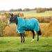 Amigo 1200D Bravo 12 Wug Turnout Blanket - 69 - Heavy (400g) - Storm Green/Aqua, Turquoise & Blue - Smartpak