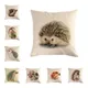 Juste de coussin de dessin animé Kasgehog taie d'oreiller décorative pour la maison canapé 45cm x