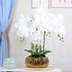 LIVILAN Artificial Flowers Fake Orchid Fake Plant White Orchid Silk Orchids Faux Orchid Plant Phalaenopsis Orchid Flower for Home Decor Kitchen Decoration Table centerpieces White with Gold vase
