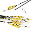 ACCMOS 6 pcs Spine 340 400 500 600 700 800 Hunting Arrows ID 6.2 mm Carbon Arrow for Adult Youth Hunting or Target Practice ID 6.2 mm Bow Archery Huntting Shooting (28inch, YeSpine 800)