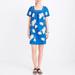 J. Crew Dresses | Bnwot J. Crew Blue Embroidered Floral Dress | Color: Blue/White | Size: S