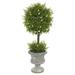 Primrue Artificial Green Oregon Juniper Topiary Plastic | 15 H x 6 W x 6 D in | Wayfair 97865A6E8F414291848EDE502C6BBC1A
