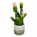 Primrue 11" Artificial Cactus Plant in Pot Plastic | 11 H x 5 W x 5 D in | Wayfair 3690238F6D9646B7BF07F1D13FE8DAF4