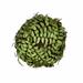 Primrue 6" Artificial Fern Topiary Plastic | 6 H x 6 W x 6 D in | Wayfair 1D75D389FC63411EA0F855B7577E58DD