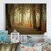Millwood Pines Path By Melancholic Forest II - Floater Frame Print on Canvas Metal in Black/Brown/Red | 30 H x 40 W x 1.5 D in | Wayfair