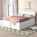 Viv + Rae™ Bueno Park Solid Wood Platform Bed w/ Footboard & Under Bed Drawers Wood in White | 16 H x 57.75 W x 76.75 D in | Wayfair