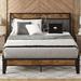 17 Stories Tharsiga Bed Frame Metal in Brown/Gray | 39 H x 62.2 W x 85.4 D in | Wayfair B9BD35B9D2C148EF9B03E02A161B79D4
