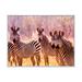 Ebern Designs African Zebra Family Portrait - Photograph on Canvas in White | 24 H x 36 W x 1 D in | Wayfair FD3F4498F01A47ED96205F28F10AECD1