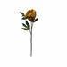 Primrue 25" Artificial Peony Stem | 25 H x 10 W x 4 D in | Wayfair 88B4556062254EADA2171368EA0A2387