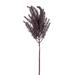 Vickerman 717738 - 35" Light Brown Dry Grass Stem 2/Bag (FM221835) Home Office Picks and Sprays