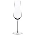 Nude Glass Stem Zero Flute Champagne Glass - 32018-1101739