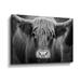 Foundry Select Cow Nose BW Gallery Wrapped Canvas Canvas, Faux Fur in Black/Gray/White | 16 H x 24 W x 2 D in | Wayfair