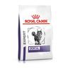 1.5kg Dental Royal Canin Expert Dry Cat Food