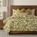 Smithsonian Pinot Blanc Duvet Set