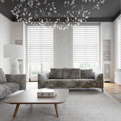Motorized Zebra Shades | 36" x 60"
