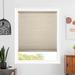 Chicology Semi-Sheer Tan Cellular Shade Synthetic Fabrics | 64 H x 53.75 W x 2 D in | Wayfair CSLF-ML-IM-53.75X64